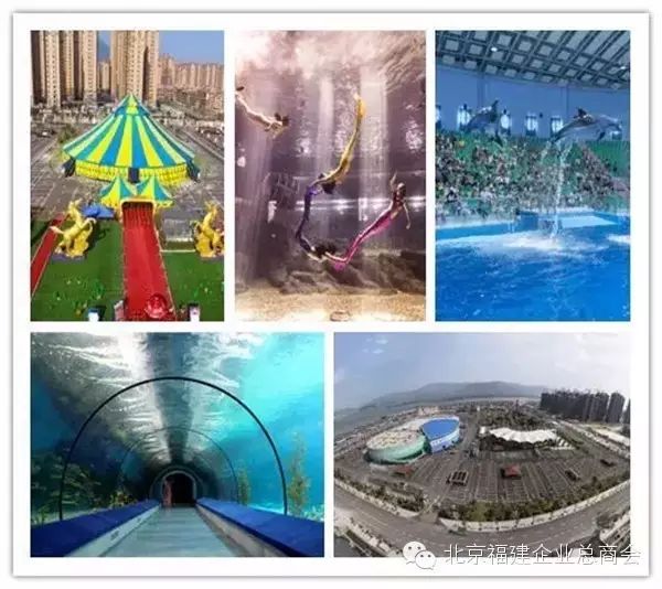 _福建省开闽姓氏文化研究院_福建闽k